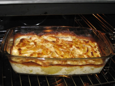 klassisches Kartoffelgratin